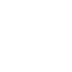 FJ13