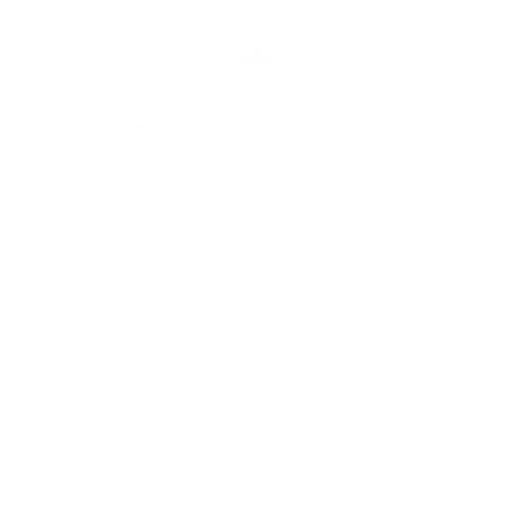 FJ13